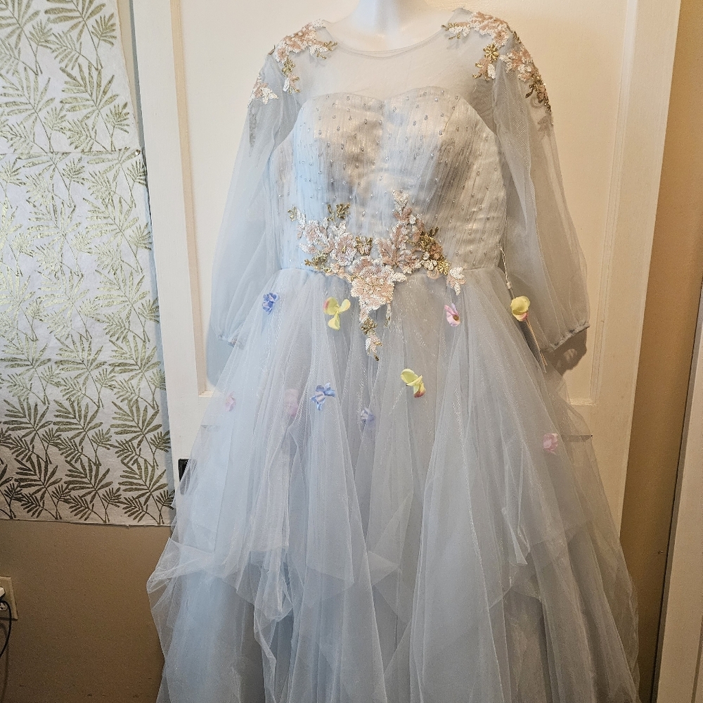 Quinceanera dress